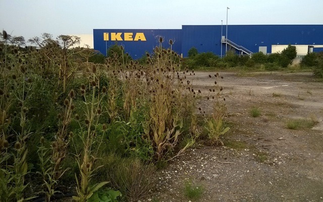 Beitragsbild: Nicht alle Wege führen zu Ikea