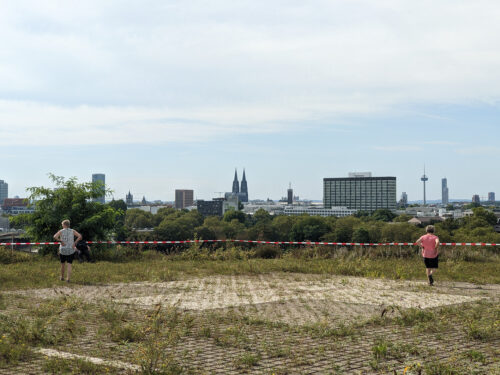 Kalkfest trifft Tag des guten Lebens 2024