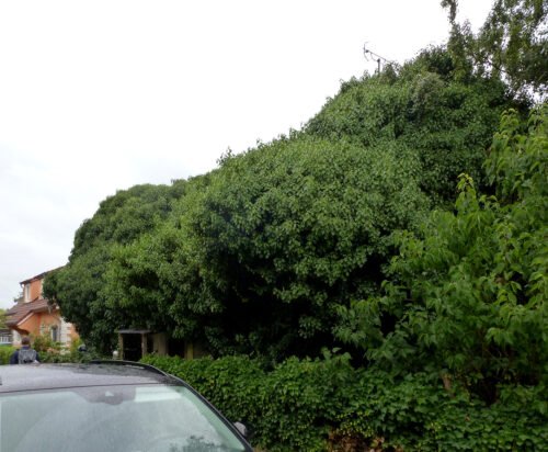 Selbstgemachtes Düsseldorf: Radtour 20