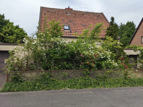 Selbstgemachtes Düsseldorf: Radtour 04