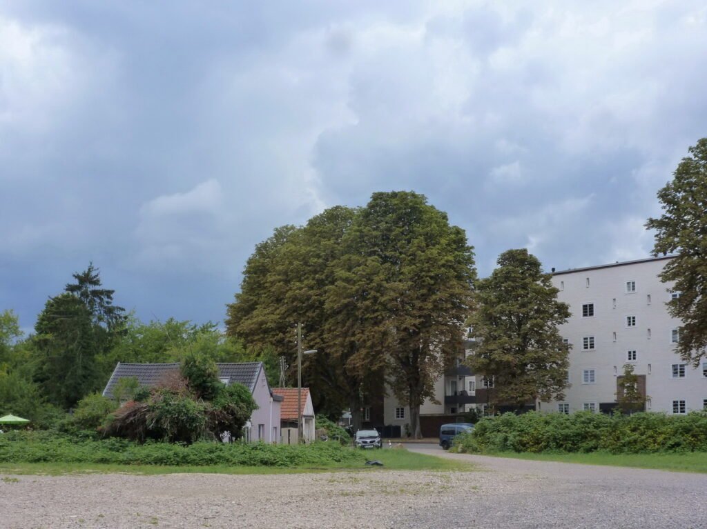 Beitragsbild: Selbstgemachtes Düsseldorf. Zeigt einen Feldweg mit 2 kleinen Häusern links und einem Wohnblock rechts. Umrandet von Bäumen.